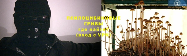 хмурый Алексеевка