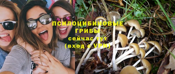 хмурый Алексеевка