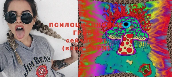 винт Алексин
