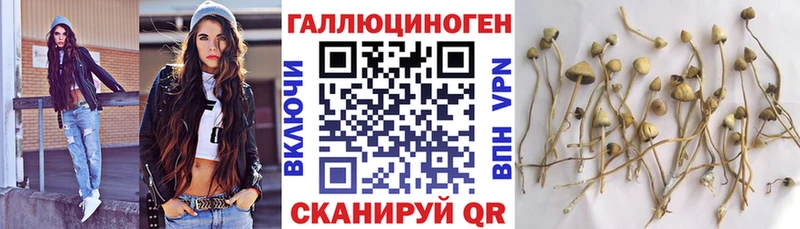 Галлюциногенные грибы мухоморы  Кимры 