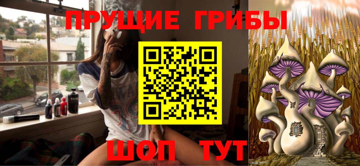 Кимры  Псилоцибиновые грибы мицелий  закладка  Вход с VPN 
