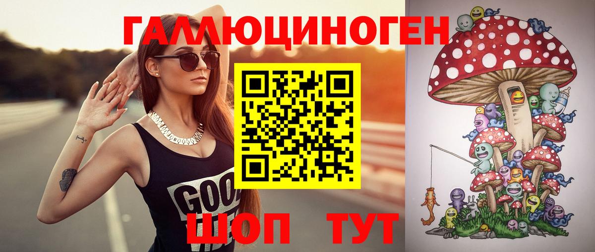 Псилоцибиновые грибы Psilocybe Кимры